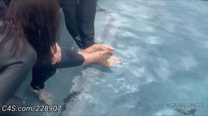 www.aqualungs50.com - Underwater Foot Fetish thumbnail